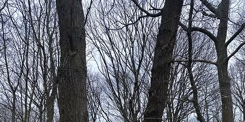 May Half Term Holiday Club