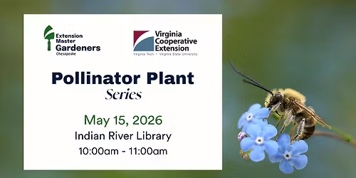 Pollinator Plant Series 2026