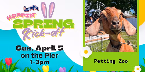 Petting Zoo at Casino Pier