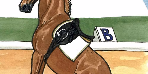 Summer Dressage Series