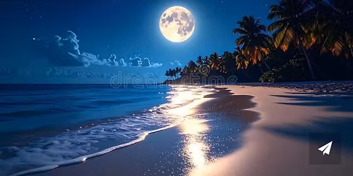 Live Painting Demonstration by Shelley Segal