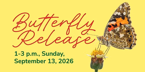Butterfly Release 2026