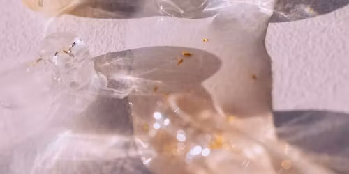 Korean Skincare Workshop - Glass Skin Results with Professional products