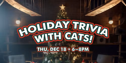 Holiday Trivia with the Cats