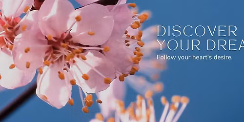 Health and Wellness coaching and discussions