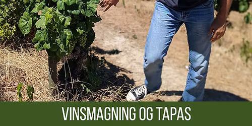 Vinsmagning og Tapas - 24. januar 2026