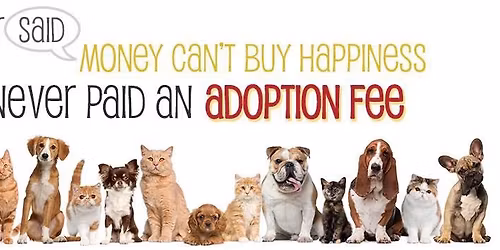 Stray Facility Volunteer Orientation