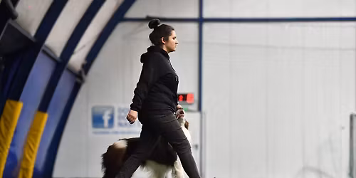 Magda Stodu\u0142ko w Dogresie! - czyli seminarium obedience \ud83e\udd73