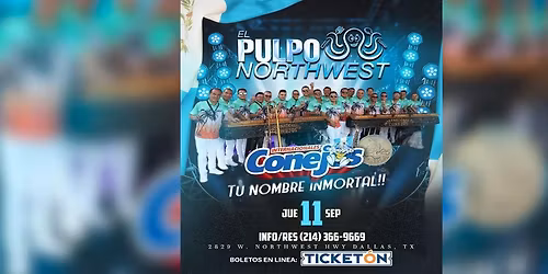 INTERNACIONALES CONEJOS EN DALLAS