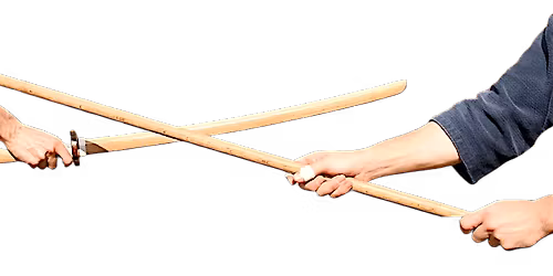 Introductory Course in Shinto Muso Ryu Jo (8 sessions)