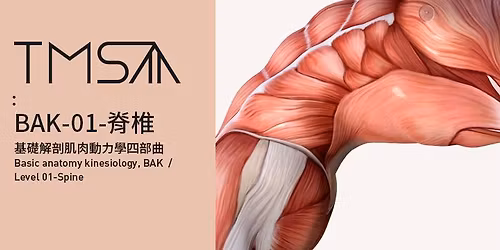 BAK\u57fa\u790e\u89e3\u5256\u808c\u8089\u52d5\u529b\u5b78-LV01-\u810a\u690e-\u3010\u53f0\u5317\u5834\u3011