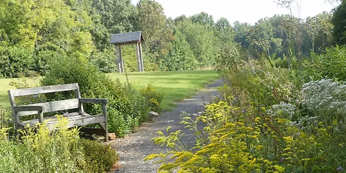 October Wildflower Walk at Ivy Creek