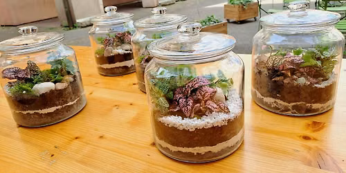 Atelier Terrarium de plantes vertes ferm\u00e9