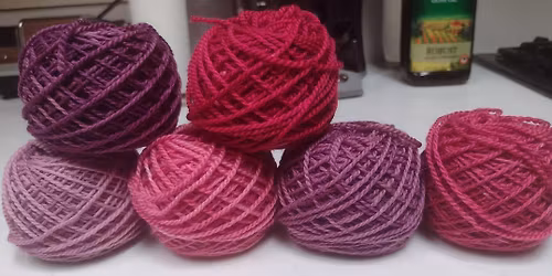 Beginning Cochineal Dye Workshop