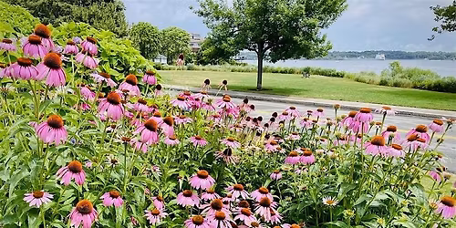 "Secret Gardens by the Bay" Garden Tour - June 2026