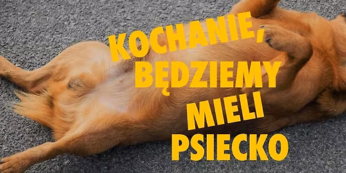 Kochanie, b\u0119dziemy mieli psiecko \u2013 spektakl impro | [05.11]