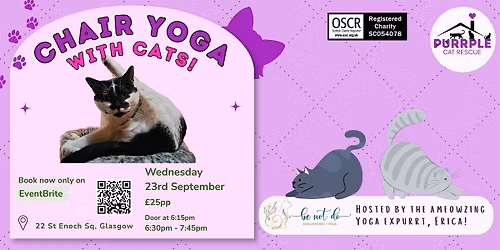 Chair Yoga with Cats!