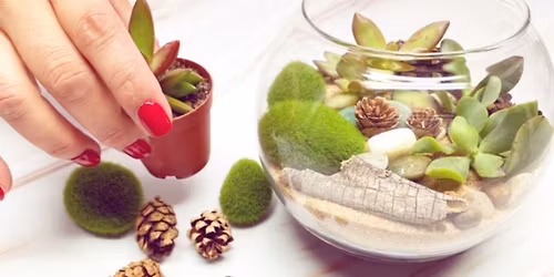 Make Your Own Terrarium
