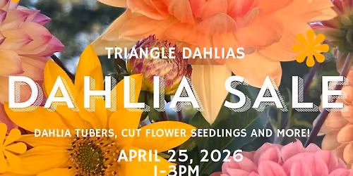 Triangle Dahlias Spring Plant Sale
