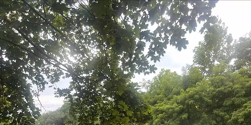 We Love Crystal Lake-Summer Concert Celebration