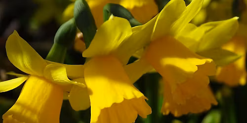 Wildlife Gardening Event Spring 2026