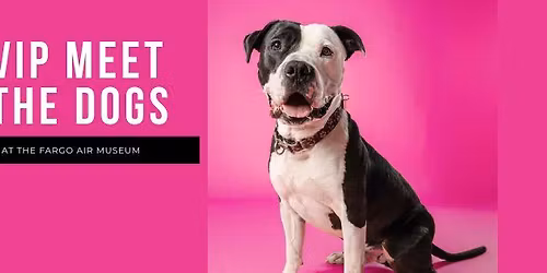 VIP Meet the Dogs