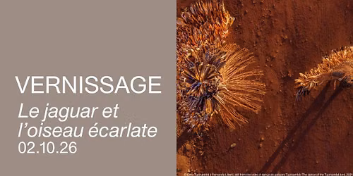 VERNISSAGE : Le jaguar et l'oiseau écarlate