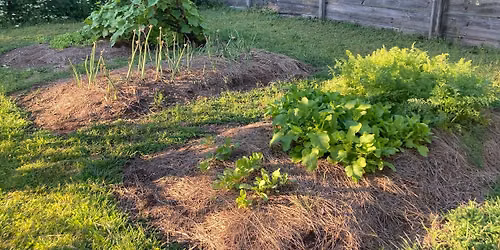 Trails & Sails: The Colonial Kitchen Garden: Food, Medicine, & Survival in Rebecca Nurse's World