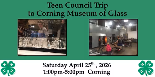  Blown Away: 4-H Teen Council Trip to Corning Museum of Glass