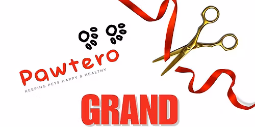 Pawtero Comes to Bridgeport! Grooming, Treats & Tails \ud83d\udc3e