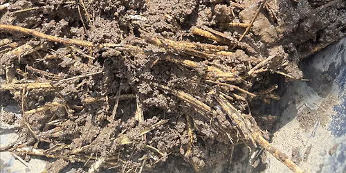 Post Fire Series: Building An Earthen Bench, Part II