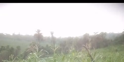 BOOK INSPECTION TODAY - virtual or physical. Starting from today. Send a Dm