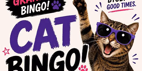 Cat BINGO!
