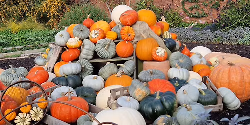 October Half Term Family Trail at Chartwell: Playful Pumpkins