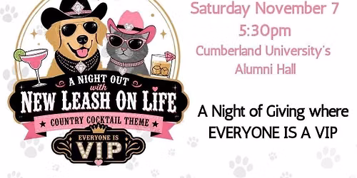 The Night Out with New Leash On Life