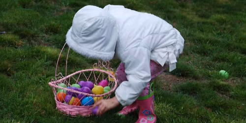 Easter Egg Hunt