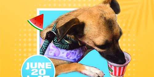 Rita's Water Ice Fundraiser