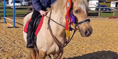 \ud83c\udf84CHRISTMAS JUMPER JUMPING\ud83c\udf32\ud83c\udf85SUNDAY 16th NOVEMBER\ud83e\udd36\ud83c\udf32 Selby
