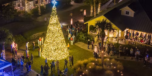 Holiday Lights Celebration