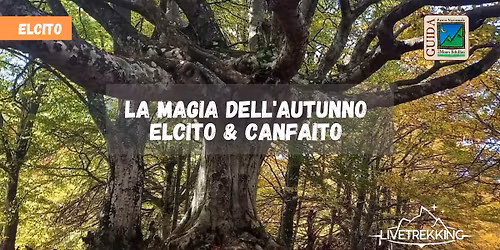 La magia dell'autunno: la faggeta di Canfaito & Elcito 