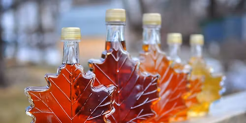 COOKING with MAPLE SYRUP: In the Kitchen with Judi Strauss