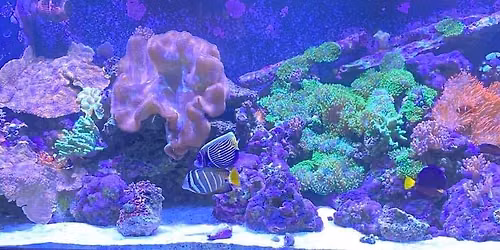 Georgia Carolina Aquatics Expo