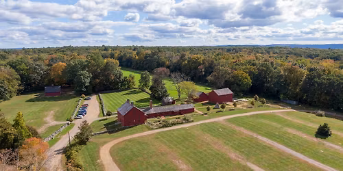 Forest Bathing at the Nathan Hale Homestead