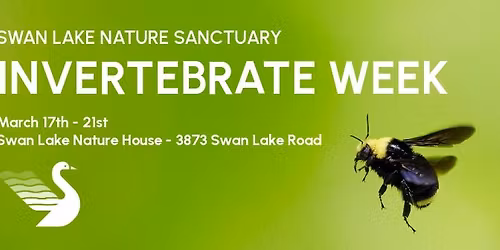 Swan Lake Invertebrate Week