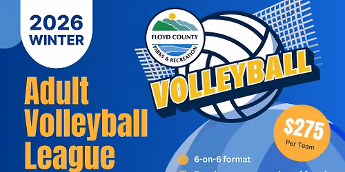 Winter Adult Volleyball league