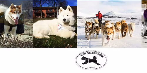 Hovedutstilling 2026