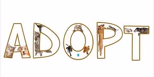 Paws For A Beer Event 