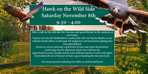 A Hawk on the Wild Side