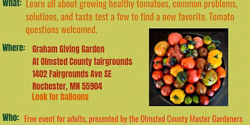 Let\u2019s Talk Tomatoes with Hutton !