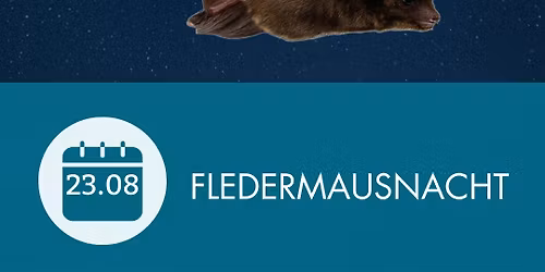 Fledermaus-Nacht
